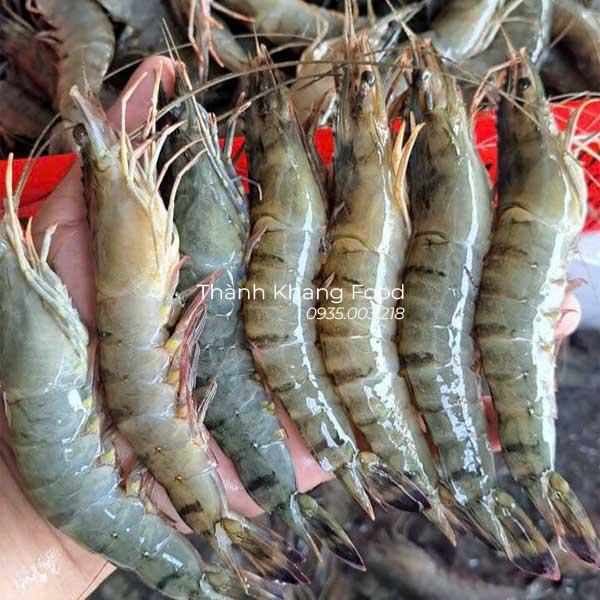 Cung cấp tôm sú tươi size 35 con và size 40 con tại Đà Nẵng