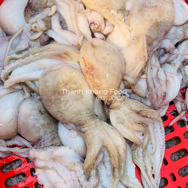 Bạch tuộc baby tươi giá bao nhiêu tiền 1kg