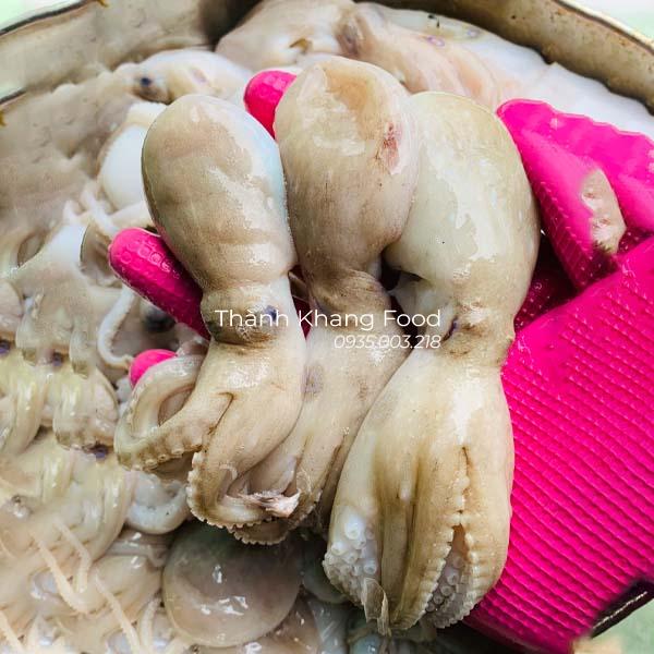 Bán bạch tuộc baby, bạch tuộc mini tại Đà Nẵng và giao hàng đi toàn quốc