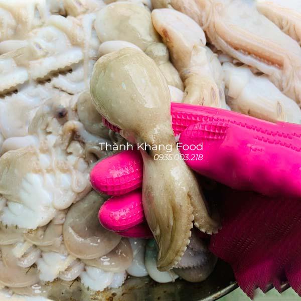 bán Bạch tuộc baby