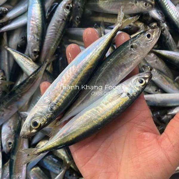 Cá nục tươi ngon