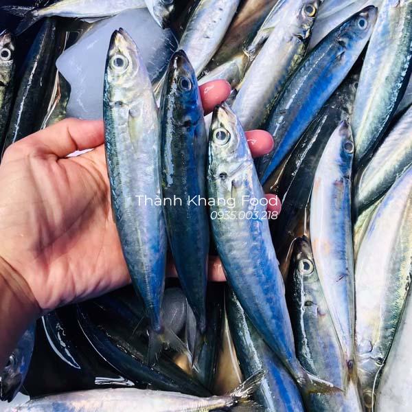 Cá nục tươi ngon - Hình ảnh 4