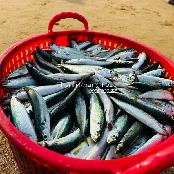 Cá nục tươi ngon - Hình ảnh 3