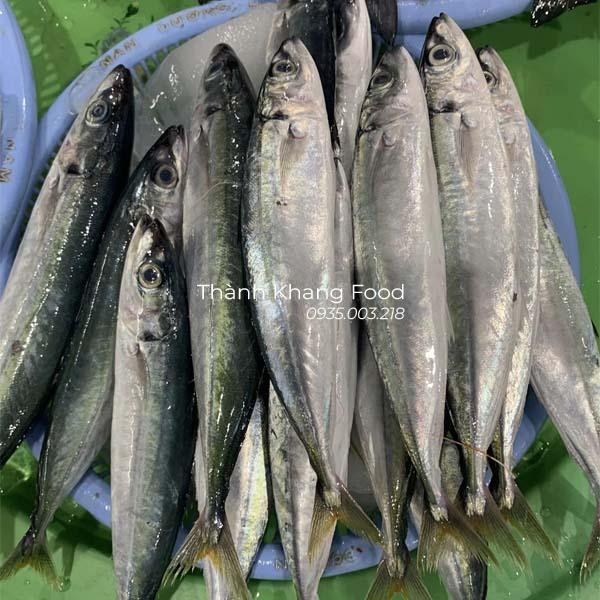 Cá nục tươi ngon - Hình ảnh 2