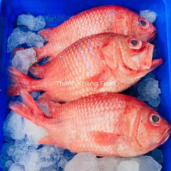 Cá Sơn Đá - Hình ảnh 2