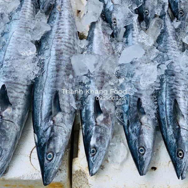 Bán cá thu biển tại đà nẵng và giao hàng toàn quốc